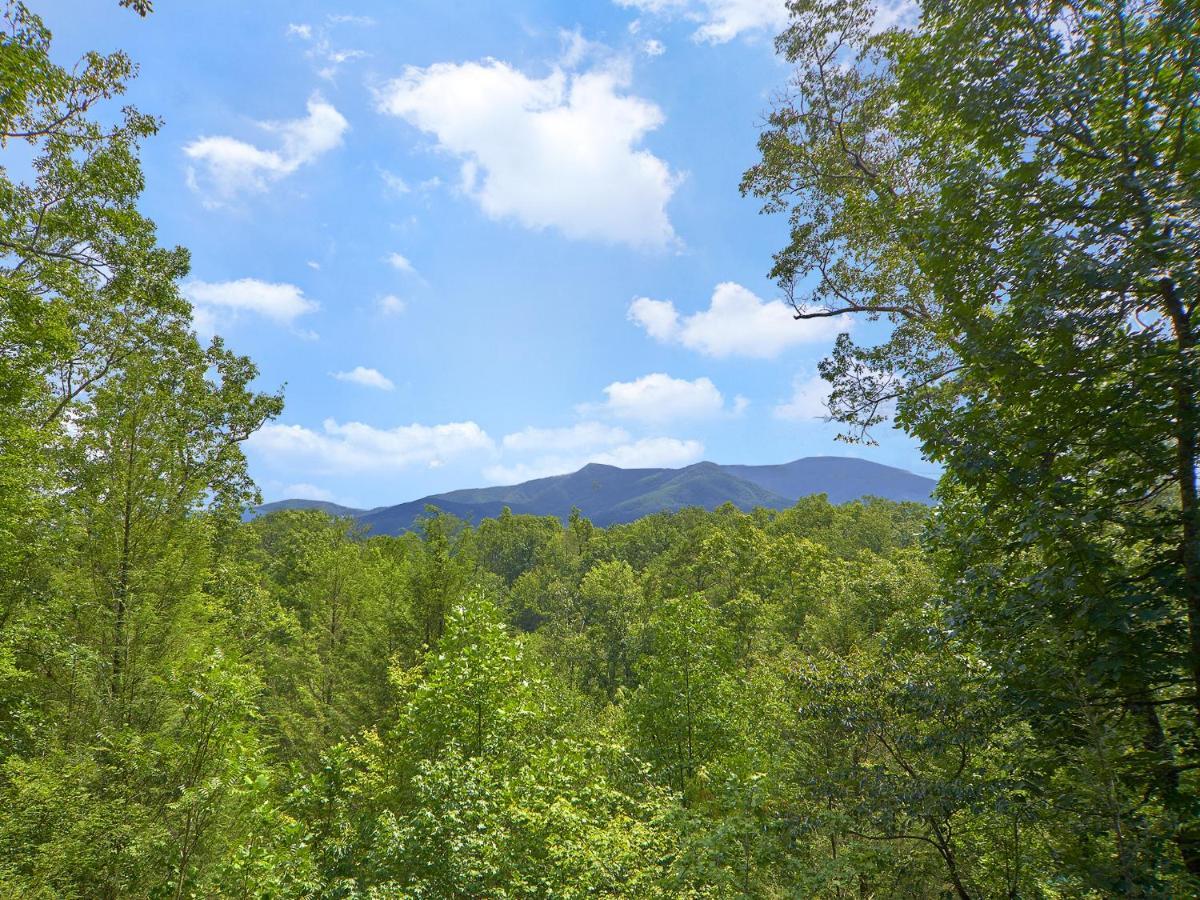 Dew South Villa Gatlinburg Exterior photo